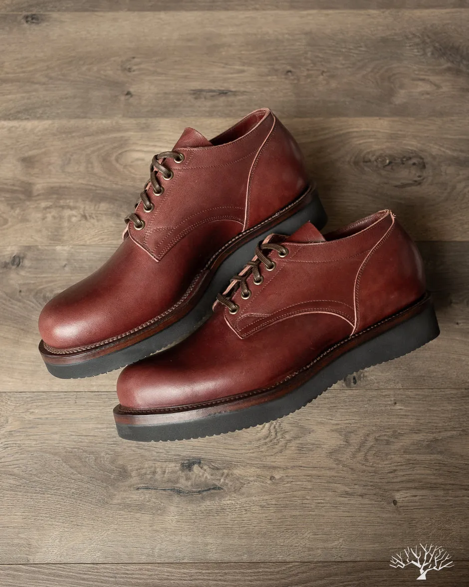 145 Oxford - Burgundy Lucida Horsebutt - 110
