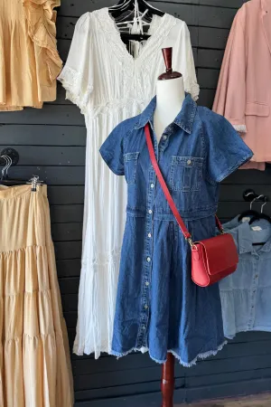 Ronni Denim Dress